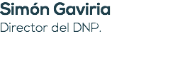 Simón Gaviria Director del DNP. 