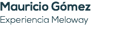 Mauricio Gómez Experiencia Meloway